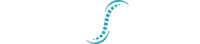 Chirosouth logo